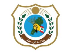 وزارة الزراعة ذكّرت بالقرارات المنظمة للصيد البحري: لحماية الثروة السمكية والالتزام بالقوانين