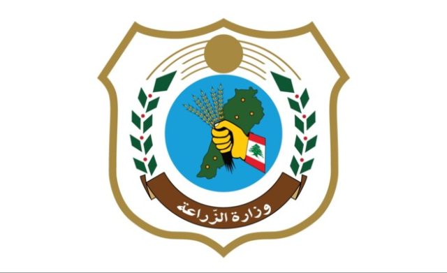 8380040_1783010732